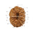 15 Mukhi Java Rudraksha in India, US, UK, Australia, Europe