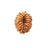 17 Mukhi Nepali Rudraksha With Lab Certified in India, US, UK, Australia, Europe