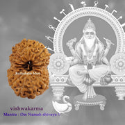17 Mukhi Java Rudraksha in India, US, UK, Australia, Europe