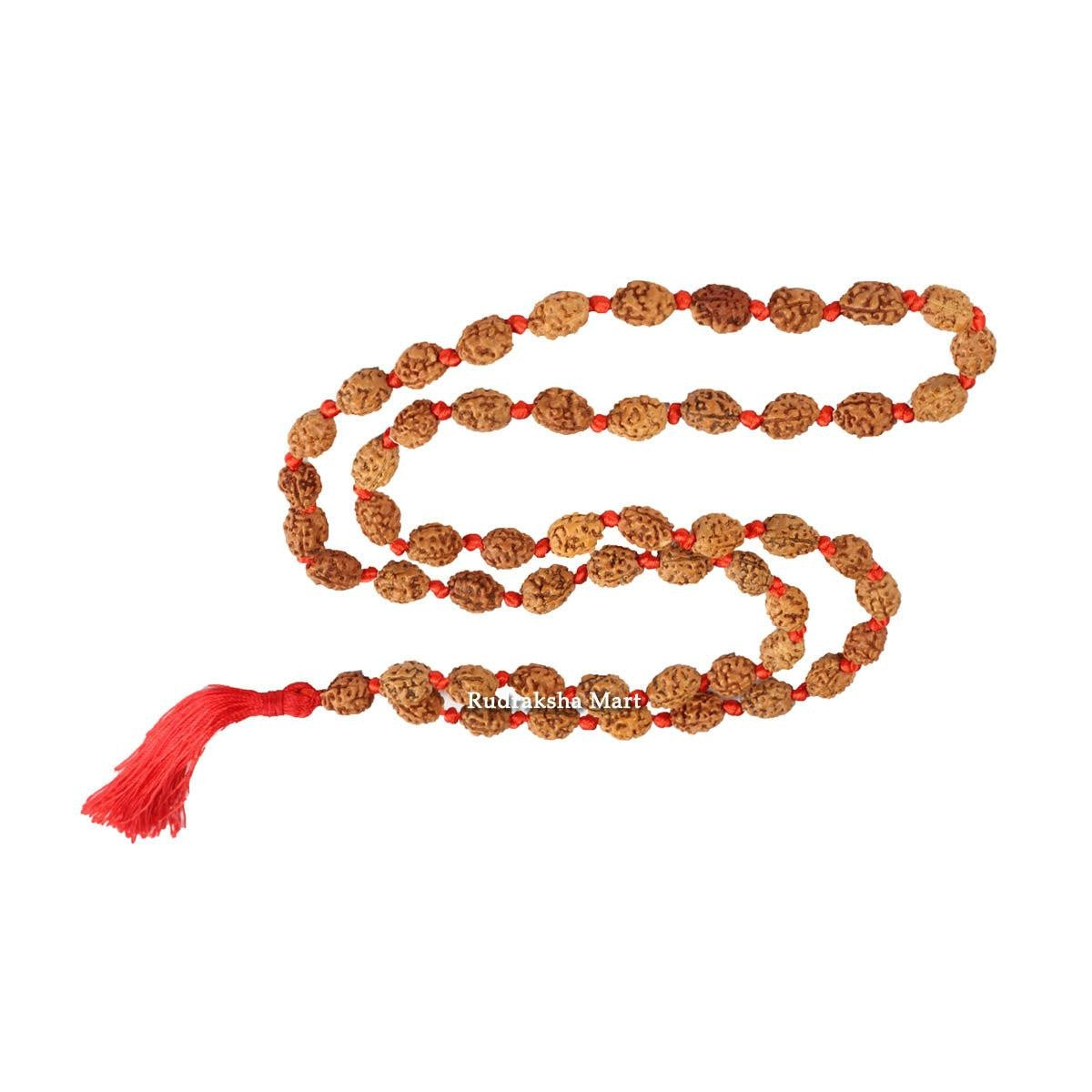 2 Mukhi Java Rudraksha Ganth Mala - 54 + 1 Beads in India, US, UK, Australia, Europe