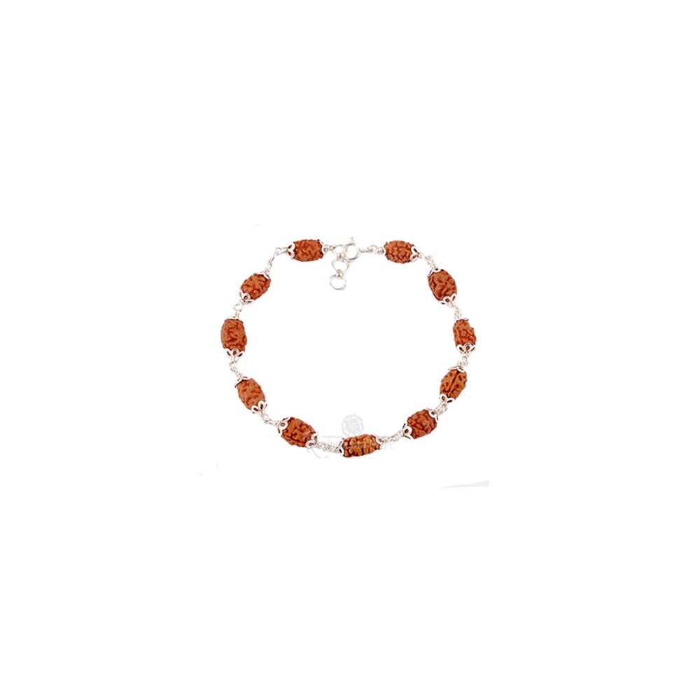 2 Mukhi Java Rudraksha Bracelet in Pure Silver in India, US, UK, Australia, Europe