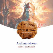 2 Mukhi Nepali Rudraksha- RM-N2 in India, US, UK, Australia, Europe
