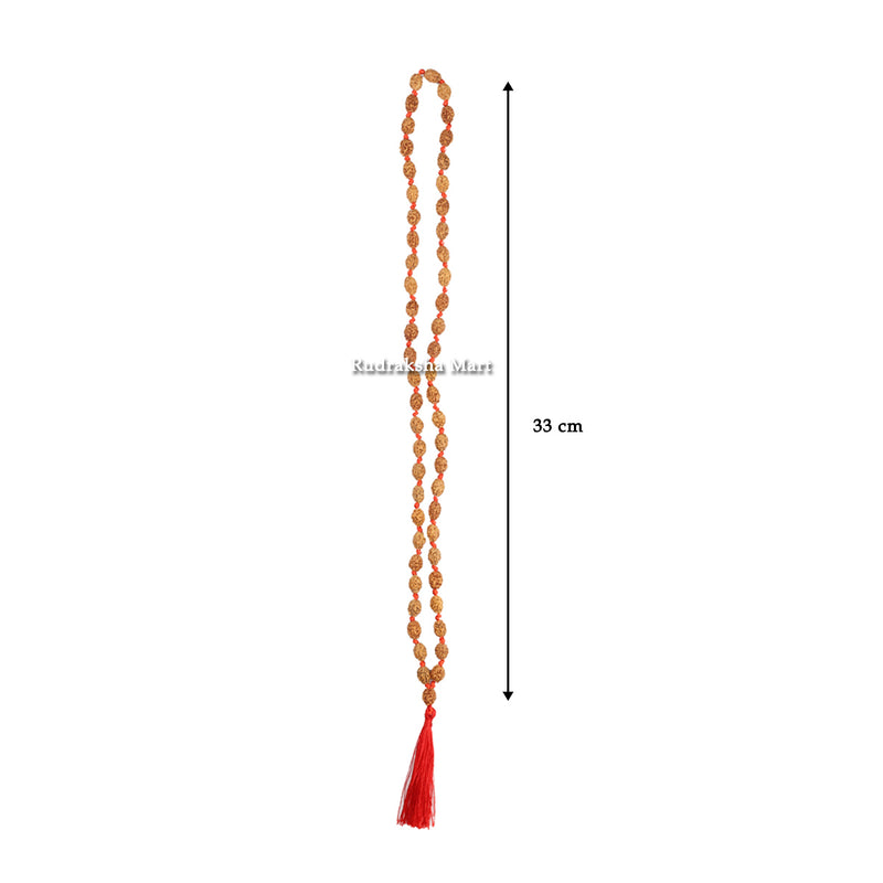 3 Mukhi Java Rudraksha Ganth Mala - 54 Beads in India, US, UK, Australia, Europe
