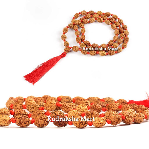 3 Mukhi Java Rudraksha Ganth Mala - 54 Beads in India, US, UK, Australia, Europe