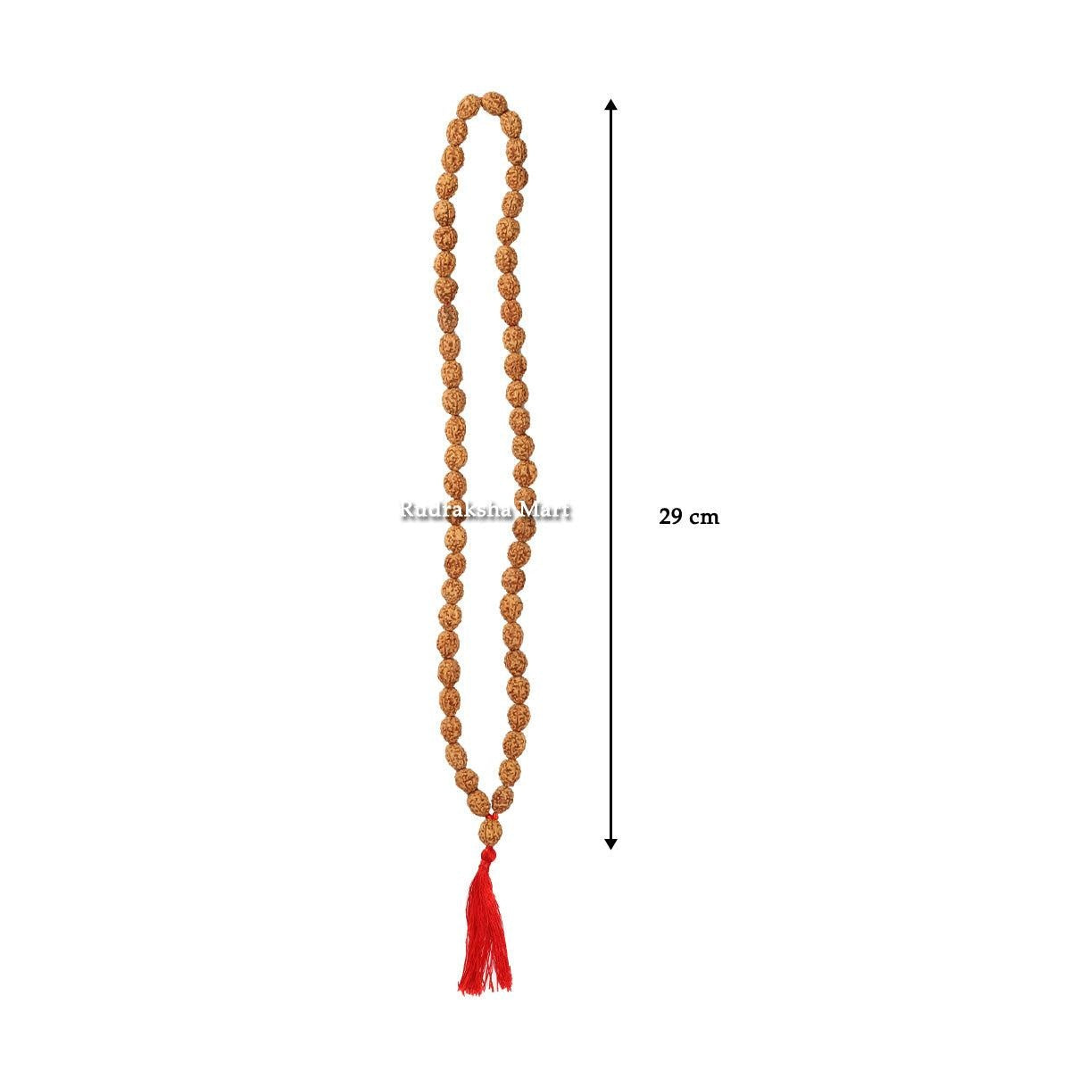 4 Mukhi Java Rudraksha Mala - 54 Beads in India, US, UK, Australia, Europe