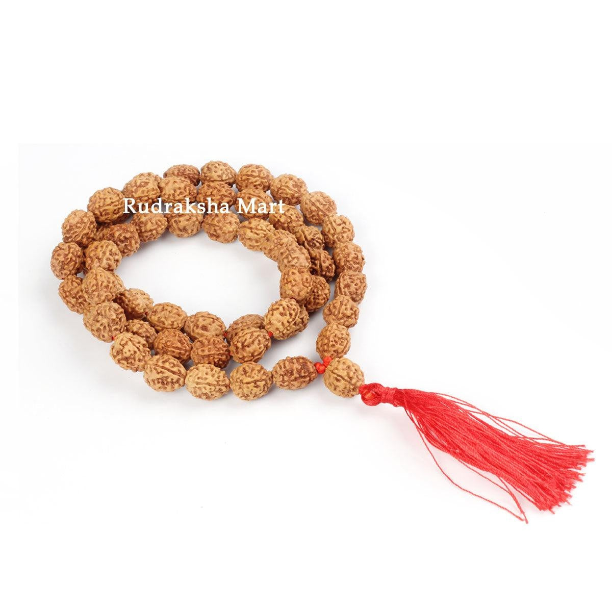 4 Mukhi Java Rudraksha Mala - 54 Beads in India, US, UK, Australia, Europe