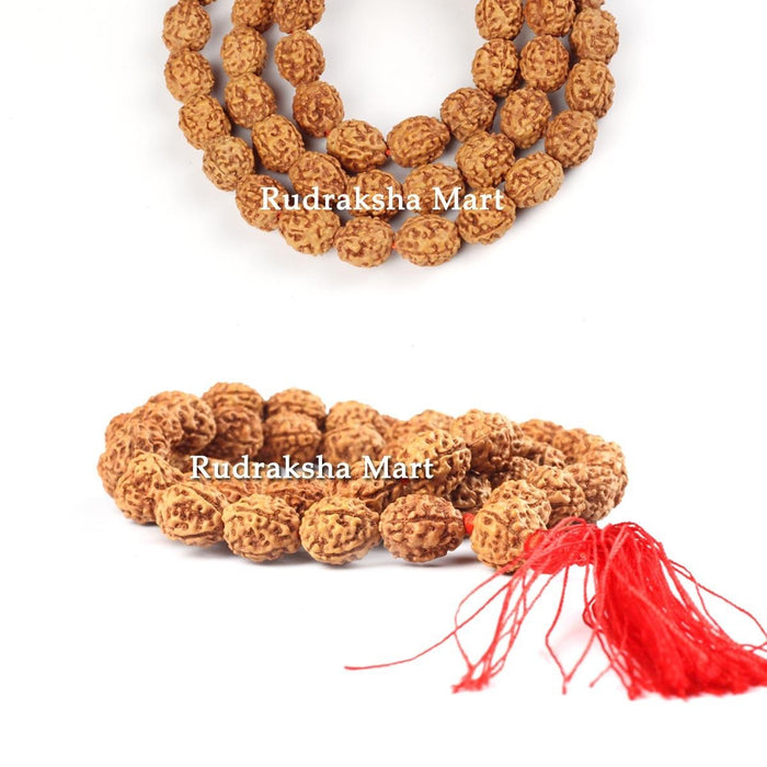 4 Mukhi Java Rudraksha Mala - 54 Beads in India, US, UK, Australia, Europe
