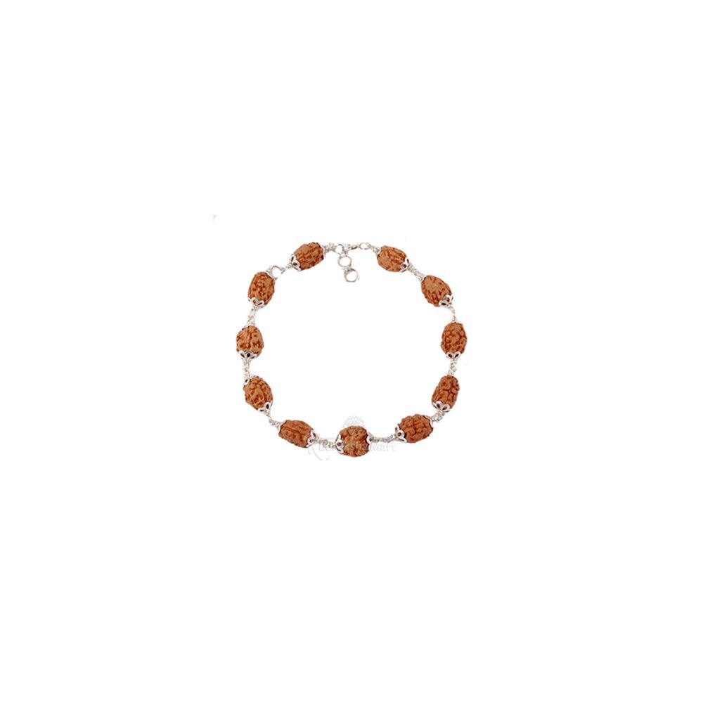 3 Mukhi Java Rudraksha in Pure Silver Bracelet in India, US, UK, Australia, Europe