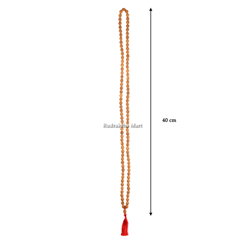 3 Mukhi 108 Bead Java Rudraksha Mala in India, US, UK, Australia, Europe