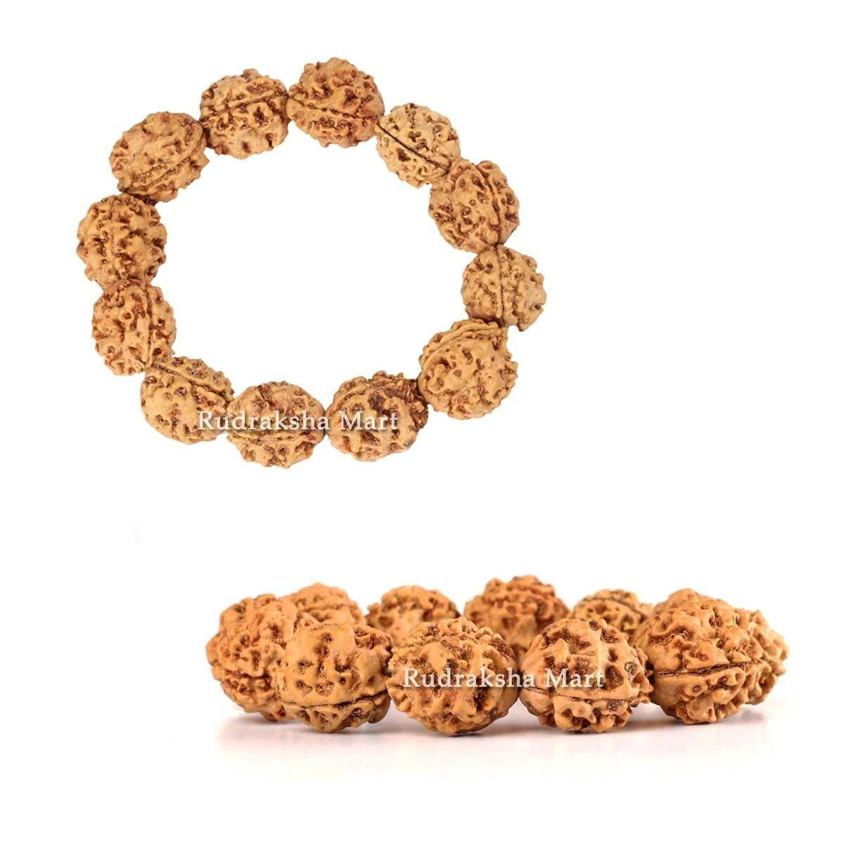 3 Mukhi Nepali Rudraksha Bracelet - Adjustable in India, US, UK, Australia, Europe