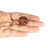 4 Mukhi Nepali Rudraksha in India, US, UK, Australia, Europe