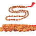 4 Mukhi Java Rudraksha Ganth Mala - 54 Beads in India, US, UK, Australia, Europe