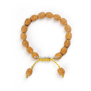 4 Mukhi Java Rudraksha Adjustable Bracelet in Thread in India, US, UK, Australia, Europe
