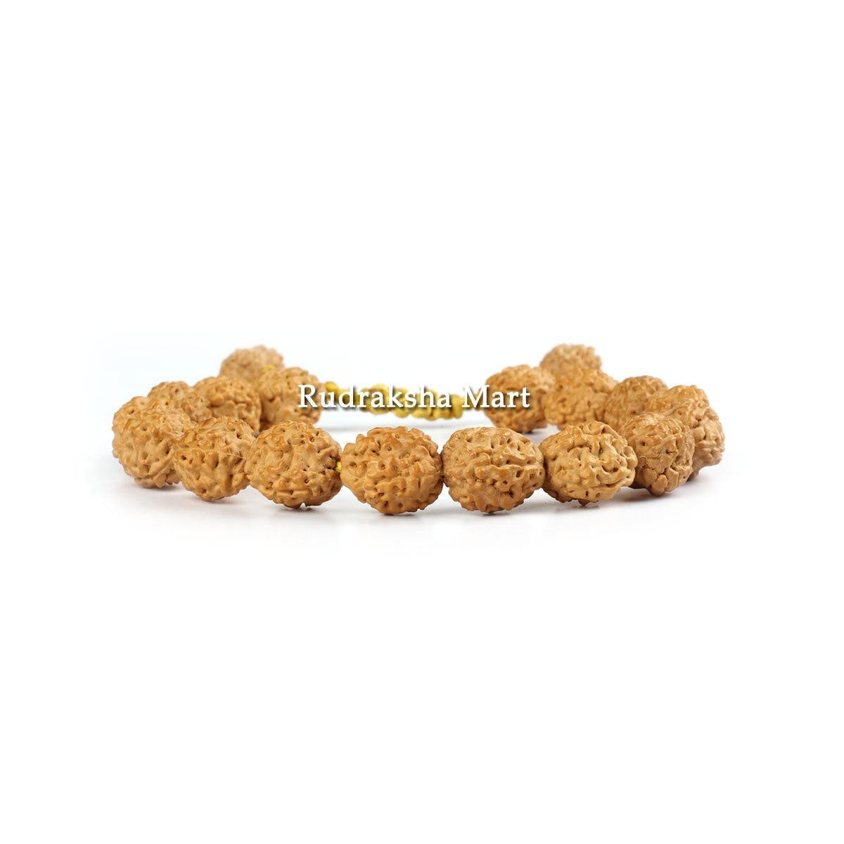 4 Mukhi Java Rudraksha Adjustable Bracelet in Thread in India, US, UK, Australia, Europe