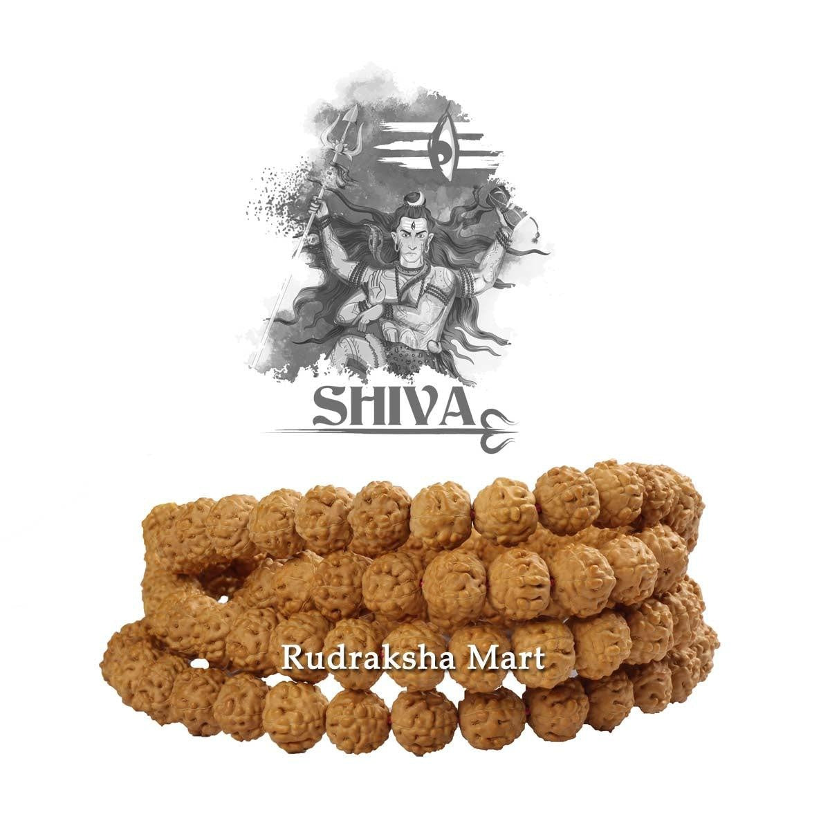 Premium Quality 5 Mukhi Rudraksha Mala - Chikna 108 Beads in India, US, UK, Australia, Europe