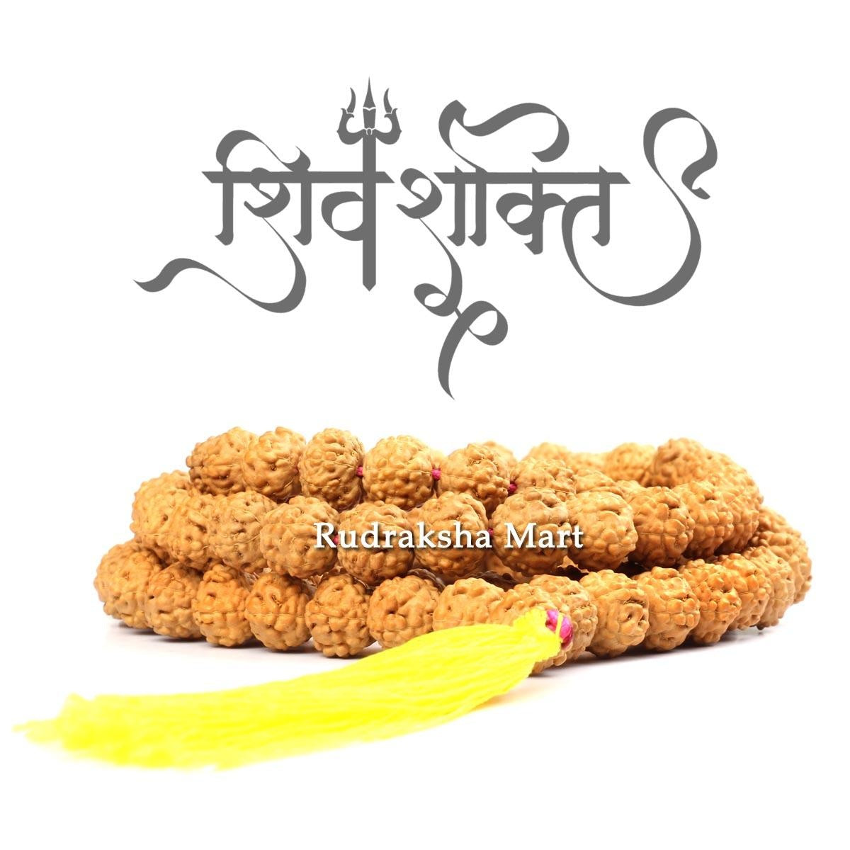 Premium Quality 5 Mukhi Rudraksha Mala - Chikna 108 Beads in India, US, UK, Australia, Europe