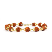 5 Mukhi Java Rudraksha Gold Plated Bracelet Option 1 in India, US, UK, Australia, Europe