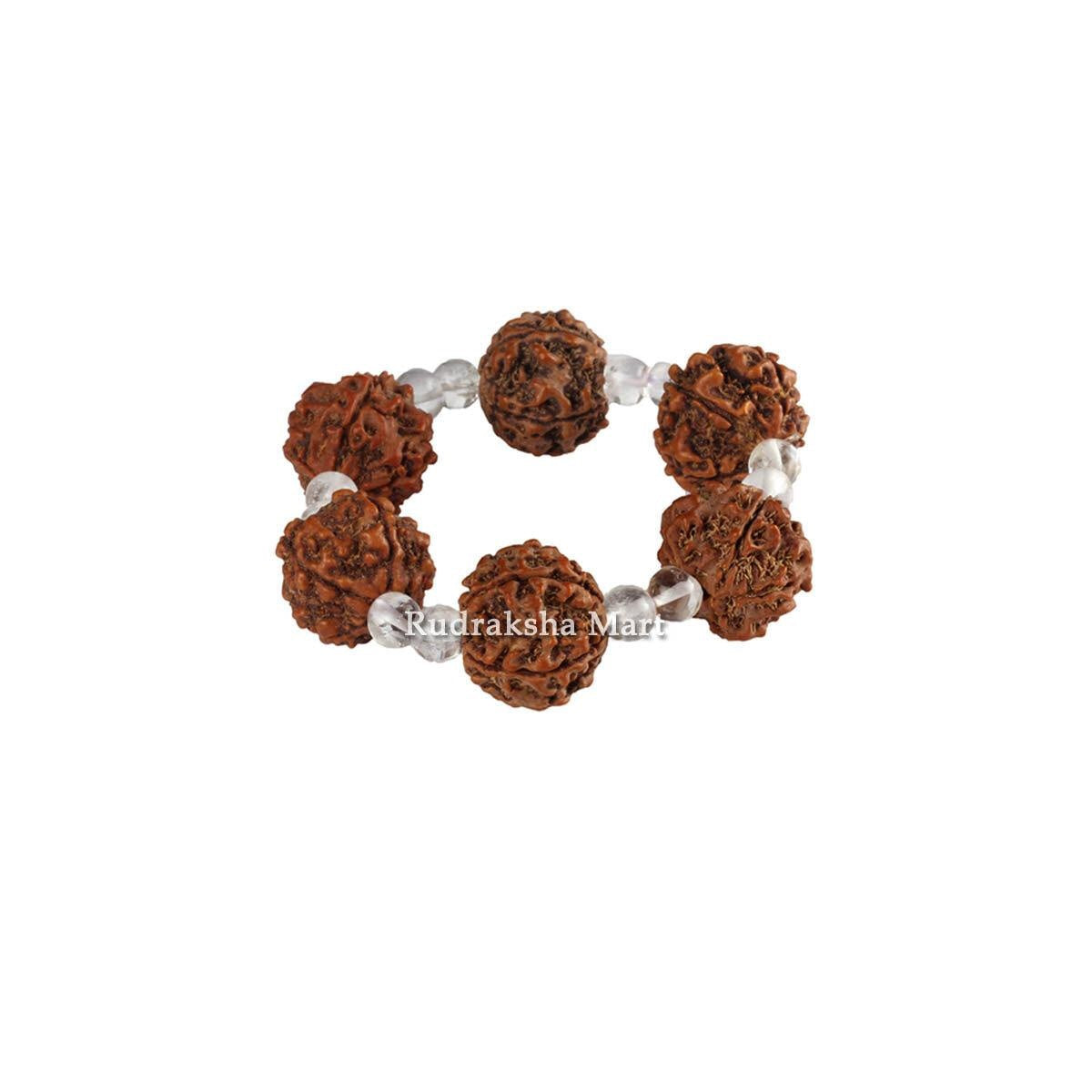 5 Mukhi Nepali Rudraksha with Sphatik Bracelet - Adjustable in India, US, UK, Australia, Europe