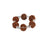 5 Mukhi Nepali Rudraksha with Sphatik Bracelet - Adjustable in India, US, UK, Australia, Europe