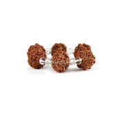5 Mukhi Nepali Rudraksha with Sphatik Bracelet - Adjustable in India, US, UK, Australia, Europe