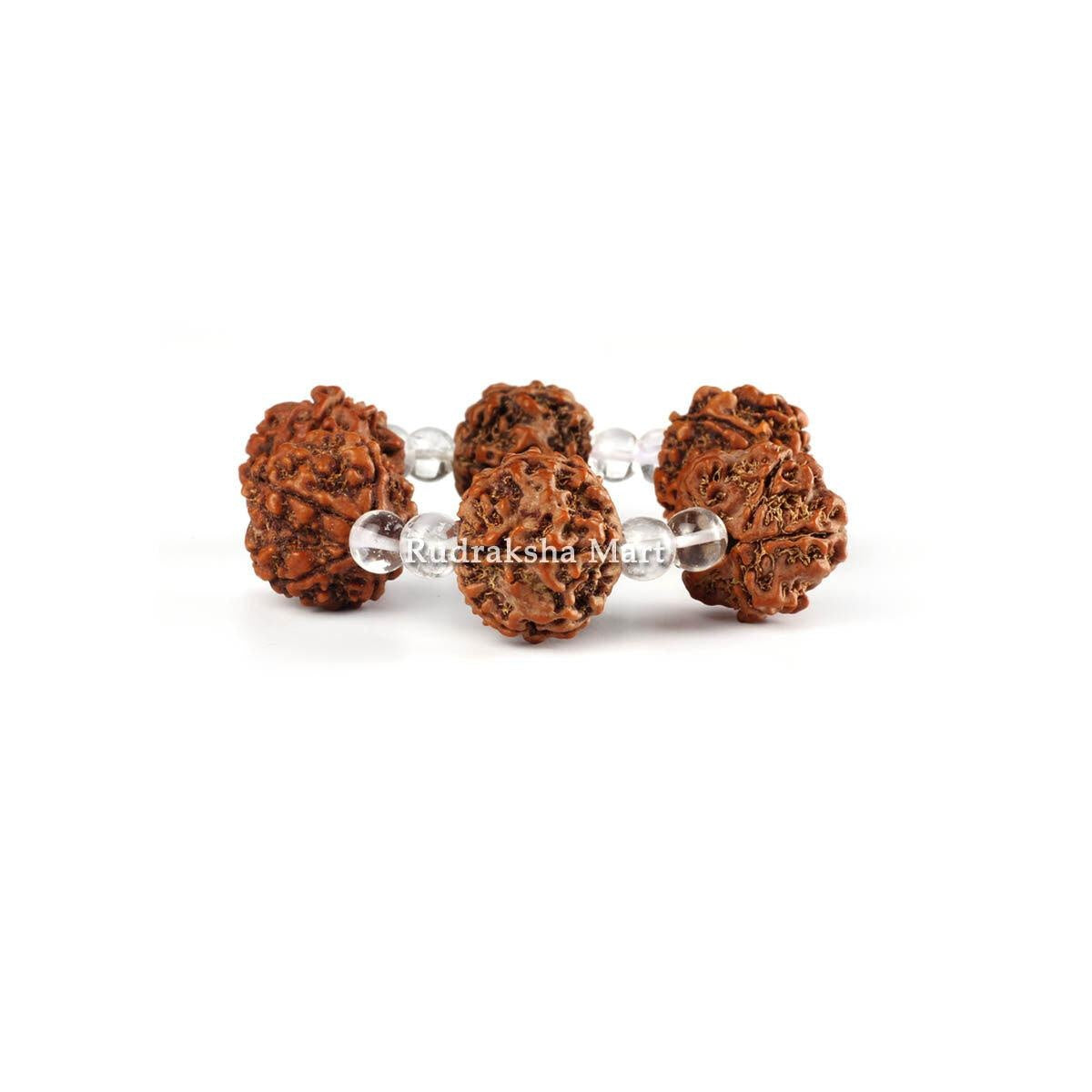 5 Mukhi Nepali Rudraksha with Sphatik Bracelet - Adjustable in India, US, UK, Australia, Europe