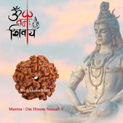 5 Mukhi Nepali Rudraksha- RM-N5 in India, US, UK, Australia, Europe