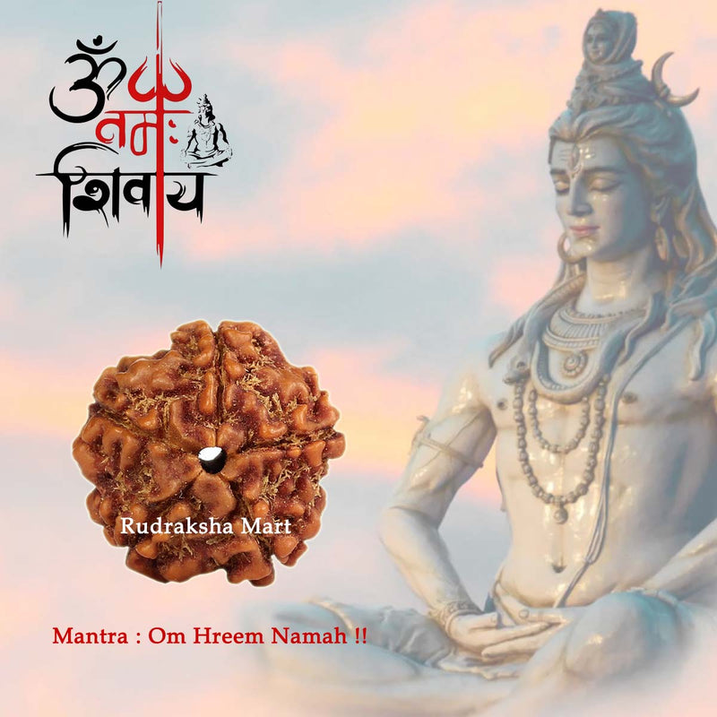 5 Mukhi Nepali Rudraksha- RM-N5 in India, US, UK, Australia, Europe