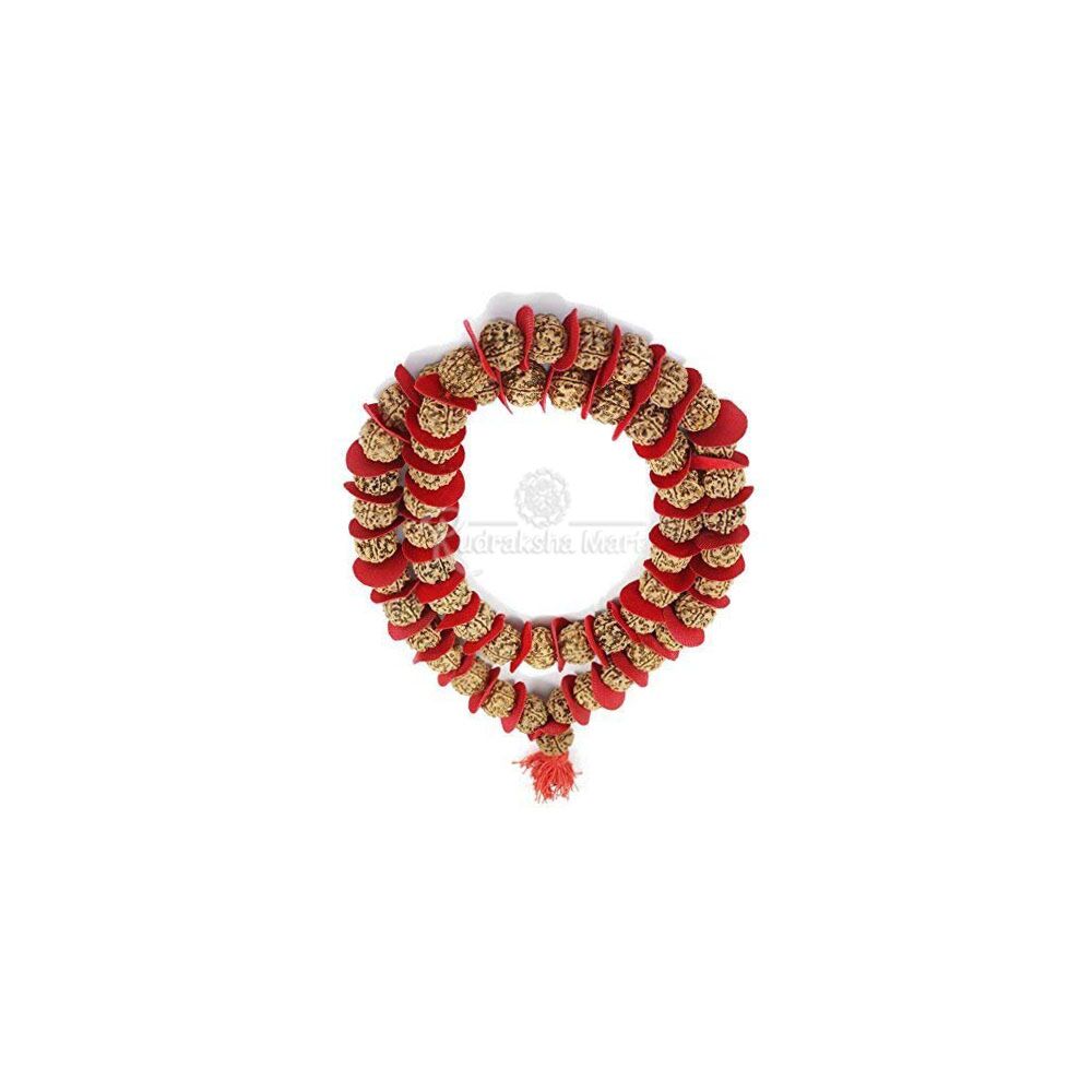 5 Mukhi Nepali Rudraksha 54+1 Beads Kantha Mala Rosary in India, US, UK, Australia, Europe