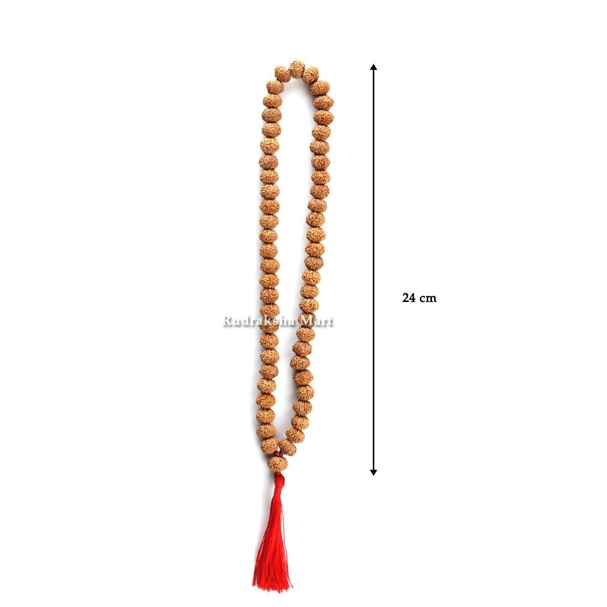 6 Mukhi Java Rudraksha Mala - 54 Beads in India, US, UK, Australia, Europe