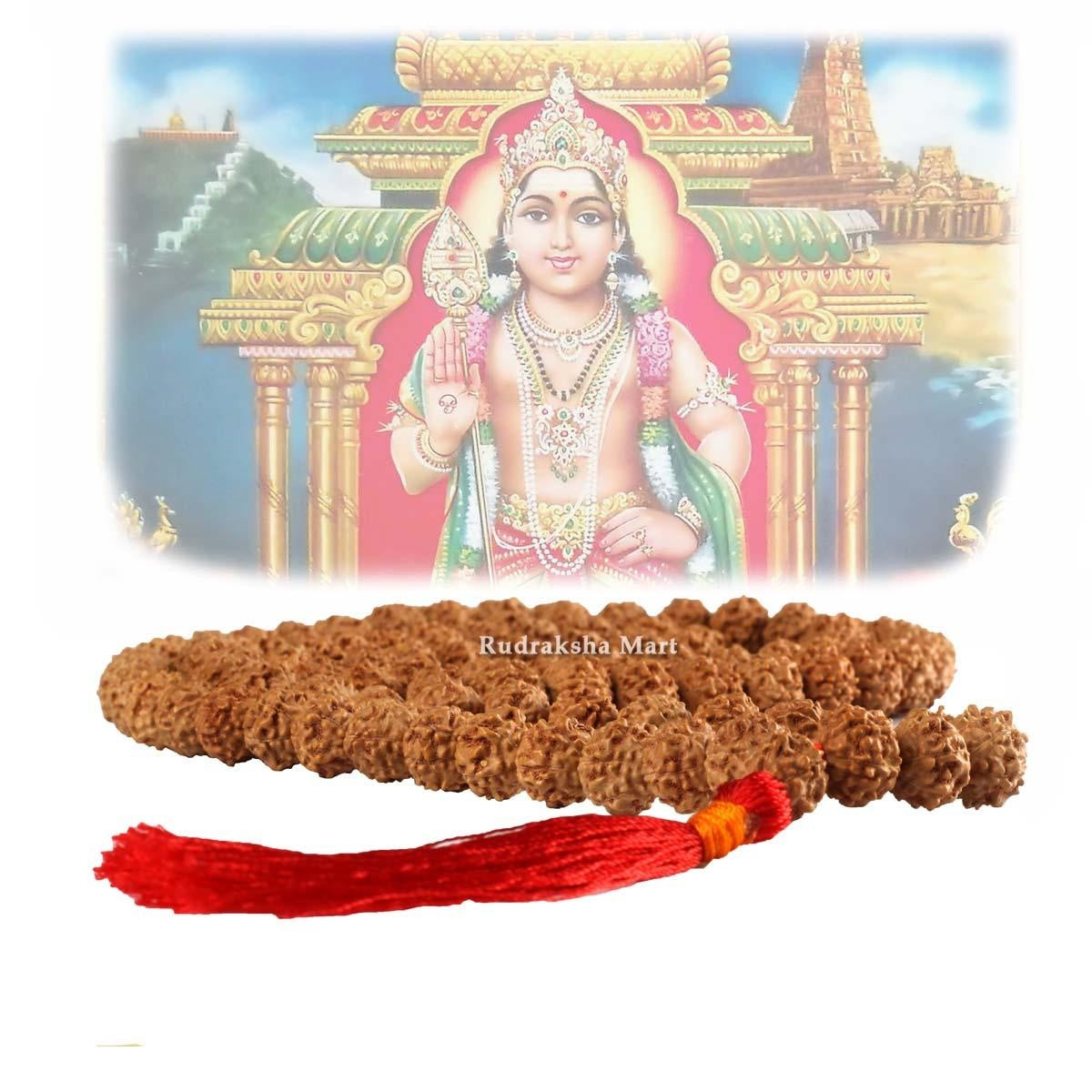 6 Mukhi Java Rudraksha Mala - 54 Beads in India, US, UK, Australia, Europe