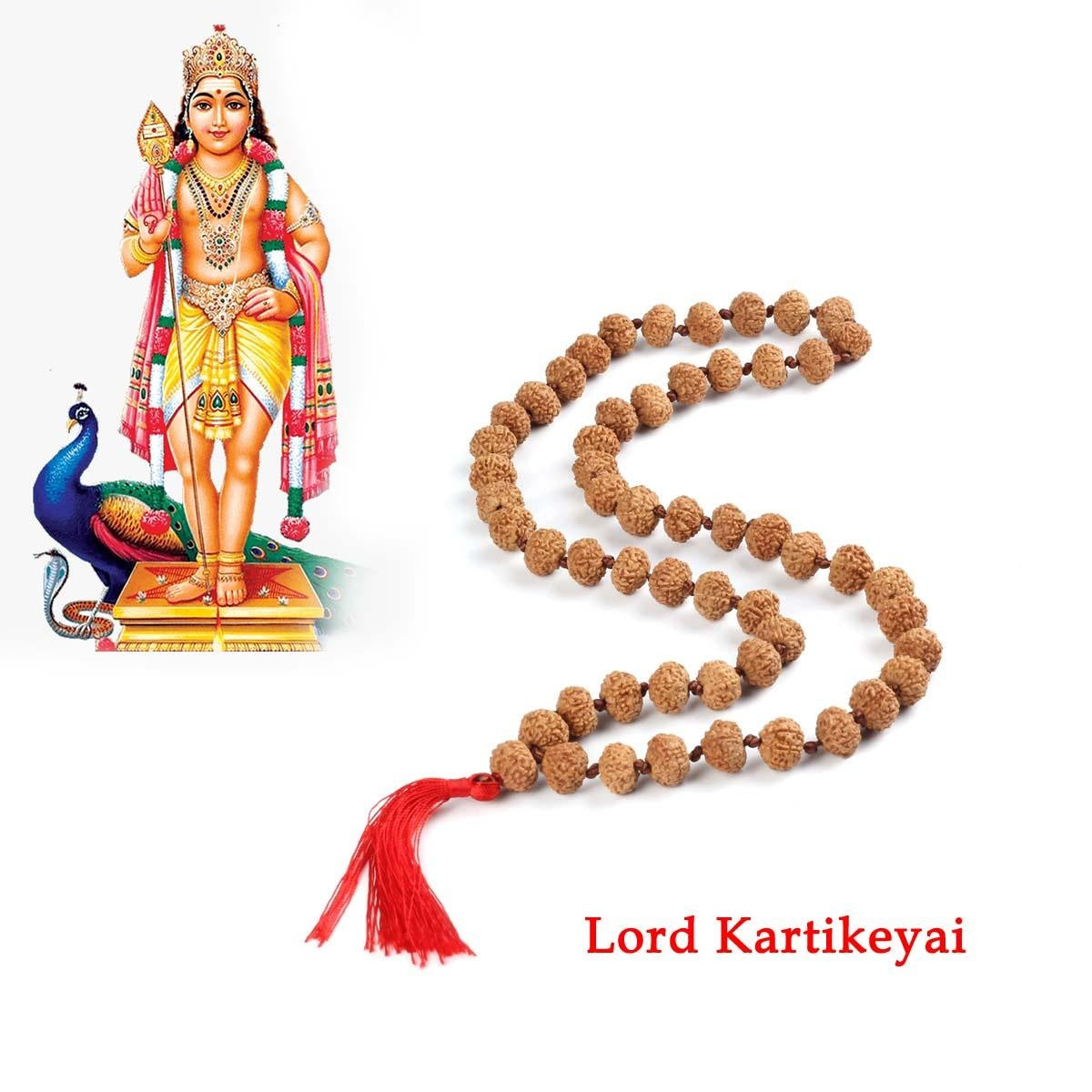 6 Mukhi Rudraksha Mala - 54 + 1 Bead inbetween Ganth in India, US, UK, Australia, Europe