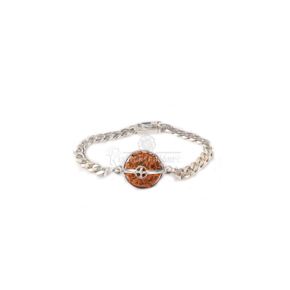 6 Mukhi Java Rudraksha Bracelet in Sterling Silver in India, US, UK, Australia, Europe
