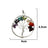 7 Chakra Multicolor Crystal Tree Of Life Pendant in India, US, UK, Australia, Europe