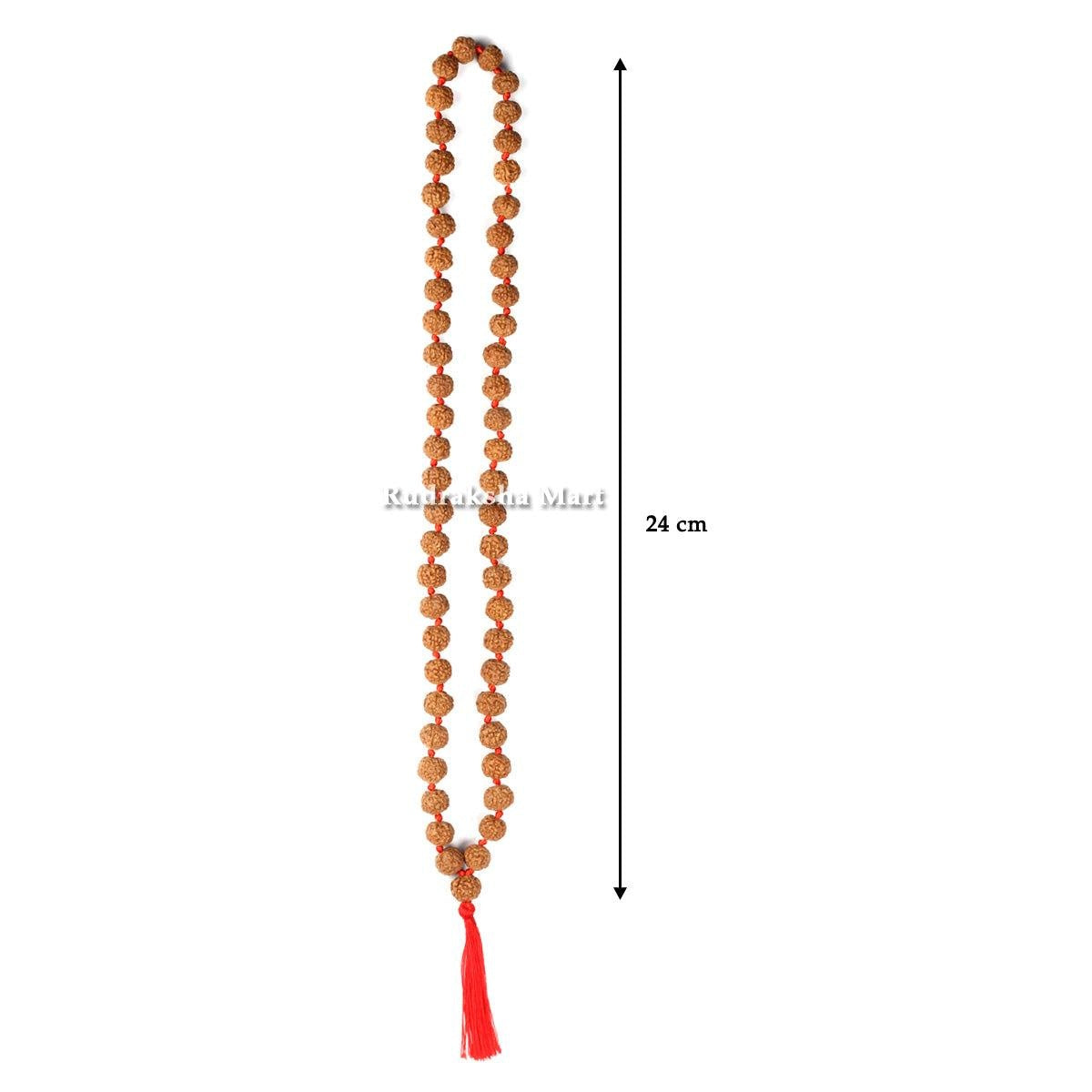 7 Mukhi Ganth Rudraksha Mala – 54 Beads in India, US, UK, Australia, Europe