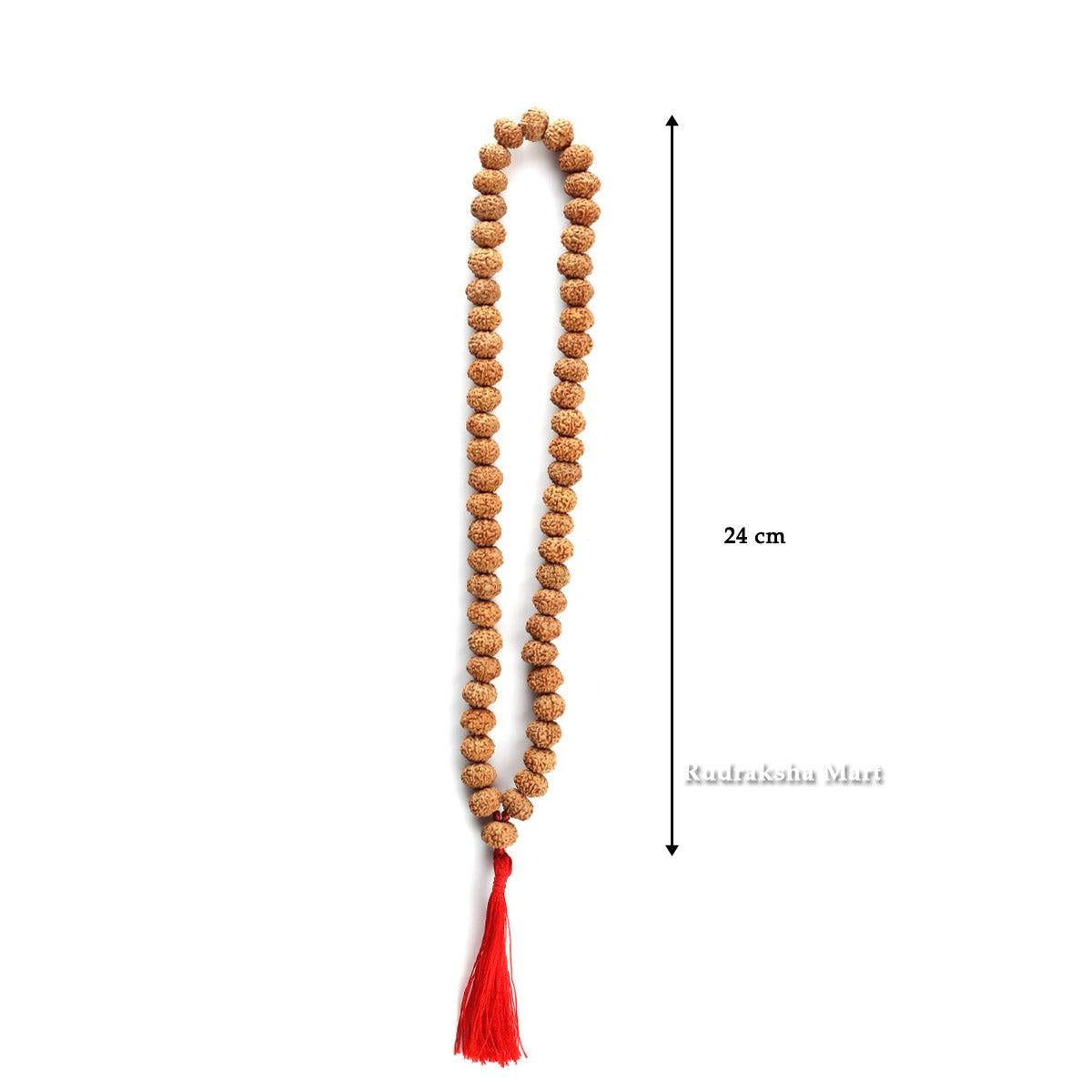 7 Mukhi Java Rudraksha 54 Beads Mala in India, US, UK, Australia, Europe