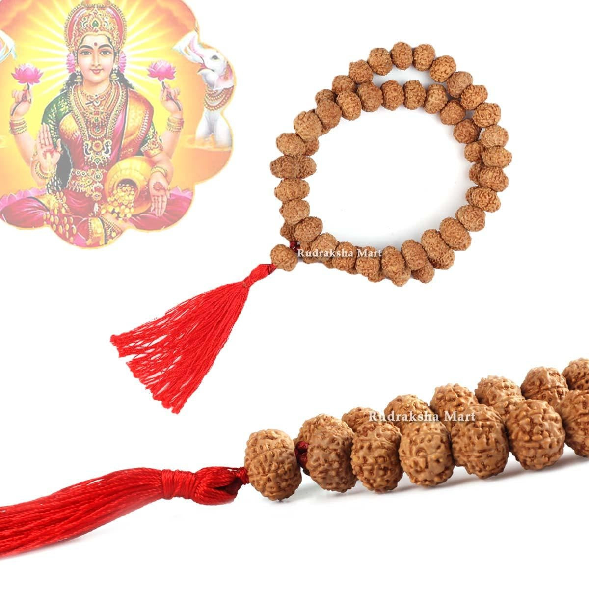 7 Mukhi Java Rudraksha 54 Beads Mala in India, US, UK, Australia, Europe