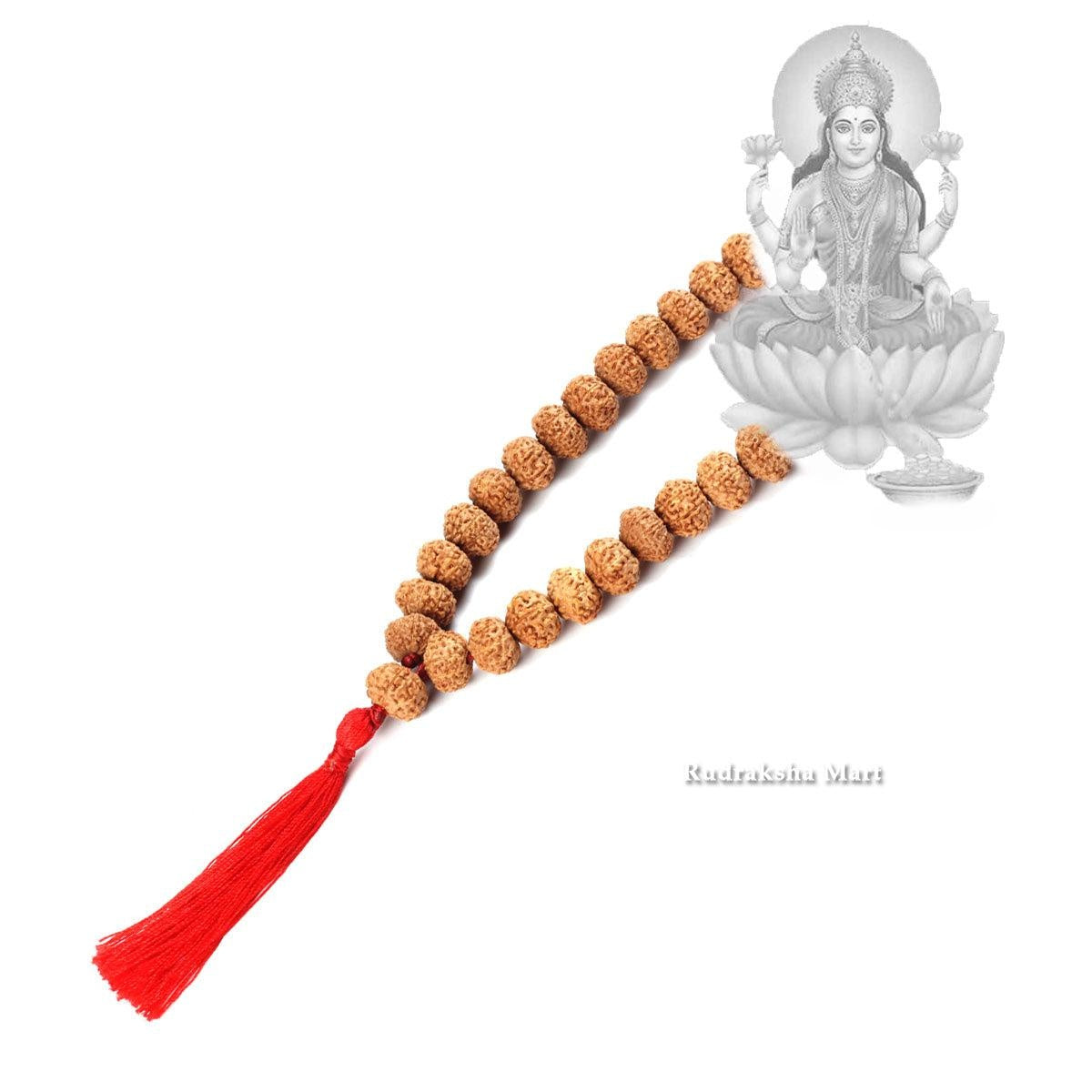 7 Mukhi Java Rudraksha 54 Beads Mala in India, US, UK, Australia, Europe