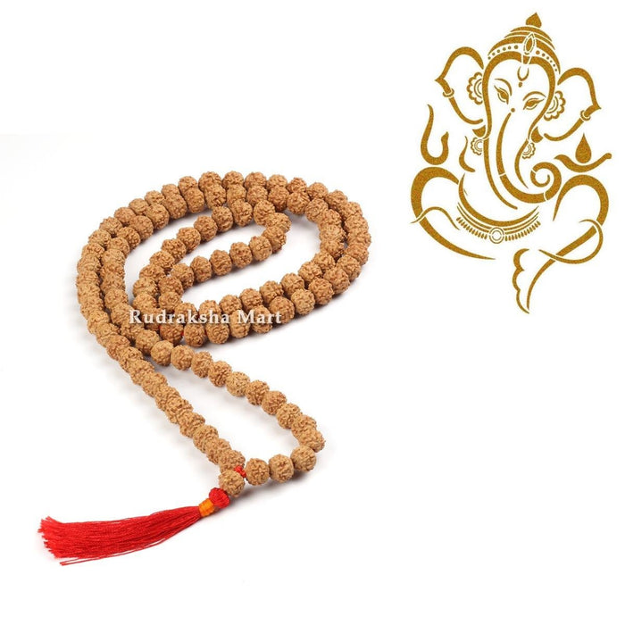 8 Mukhi Rudraksha Mala – 108 Beads in India, US, UK, Australia, Europe