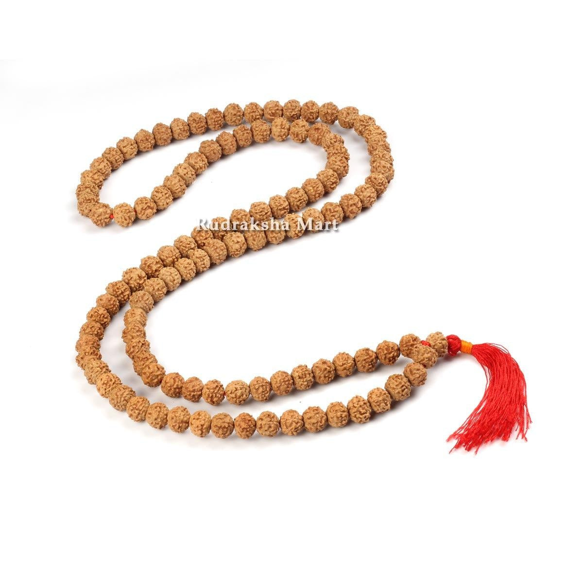 Mukhi Rudraksha Mala – 108 Beads