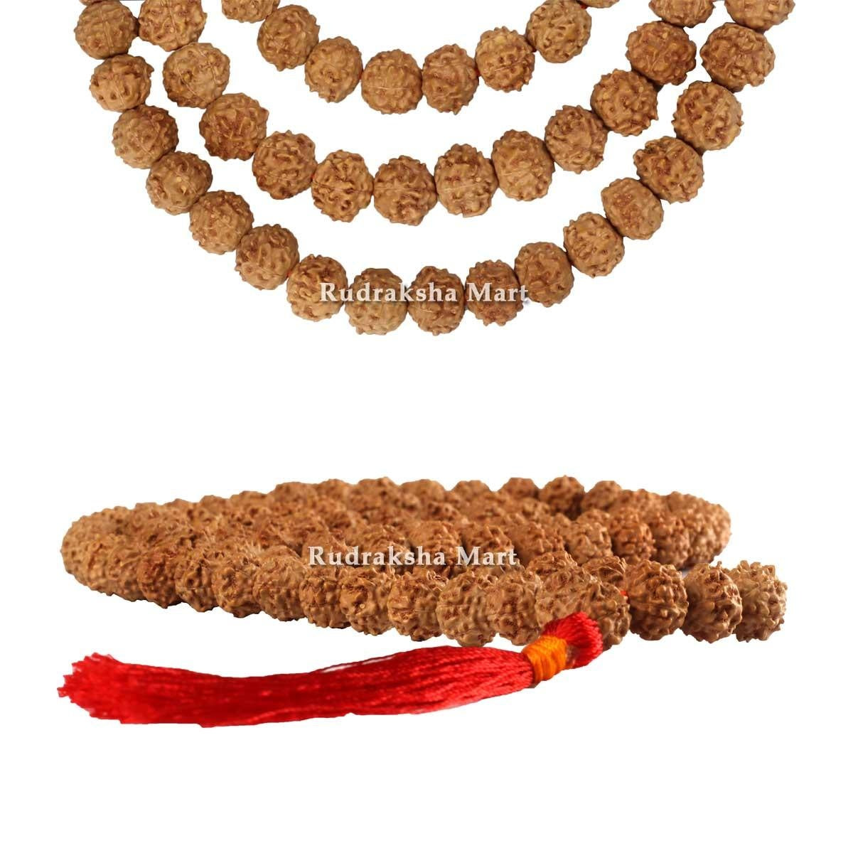 8 Mukhi Rudraksha Mala – 108 Beads in India, US, UK, Australia, Europe