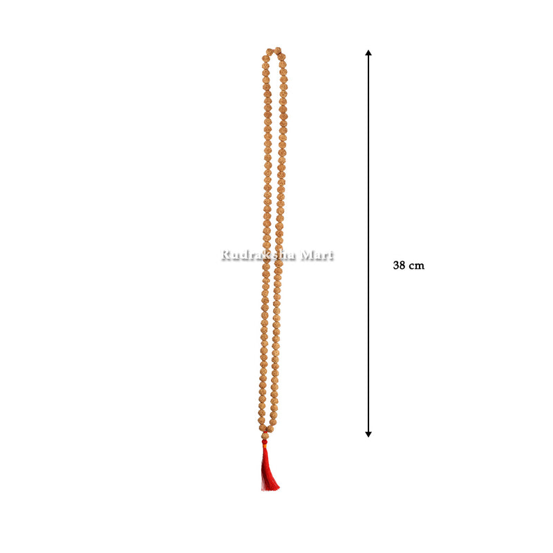 8 Mukhi Rudraksha Mala – 108 Beads in India, US, UK, Australia, Europe