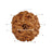 9 Mukhi Java Rudraksha in India, US, UK, Australia, Europe