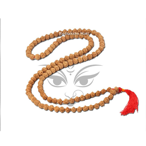 9 Mukhi Java Rudraksha Bead Mala - 108 Beads in India, US, UK, Australia, Europe