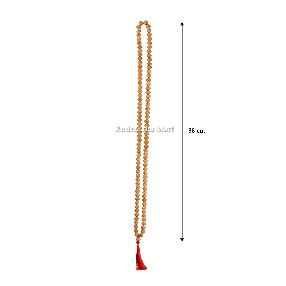 9 Mukhi Java Rudraksha Bead Mala - 108 Beads in India, US, UK, Australia, Europe