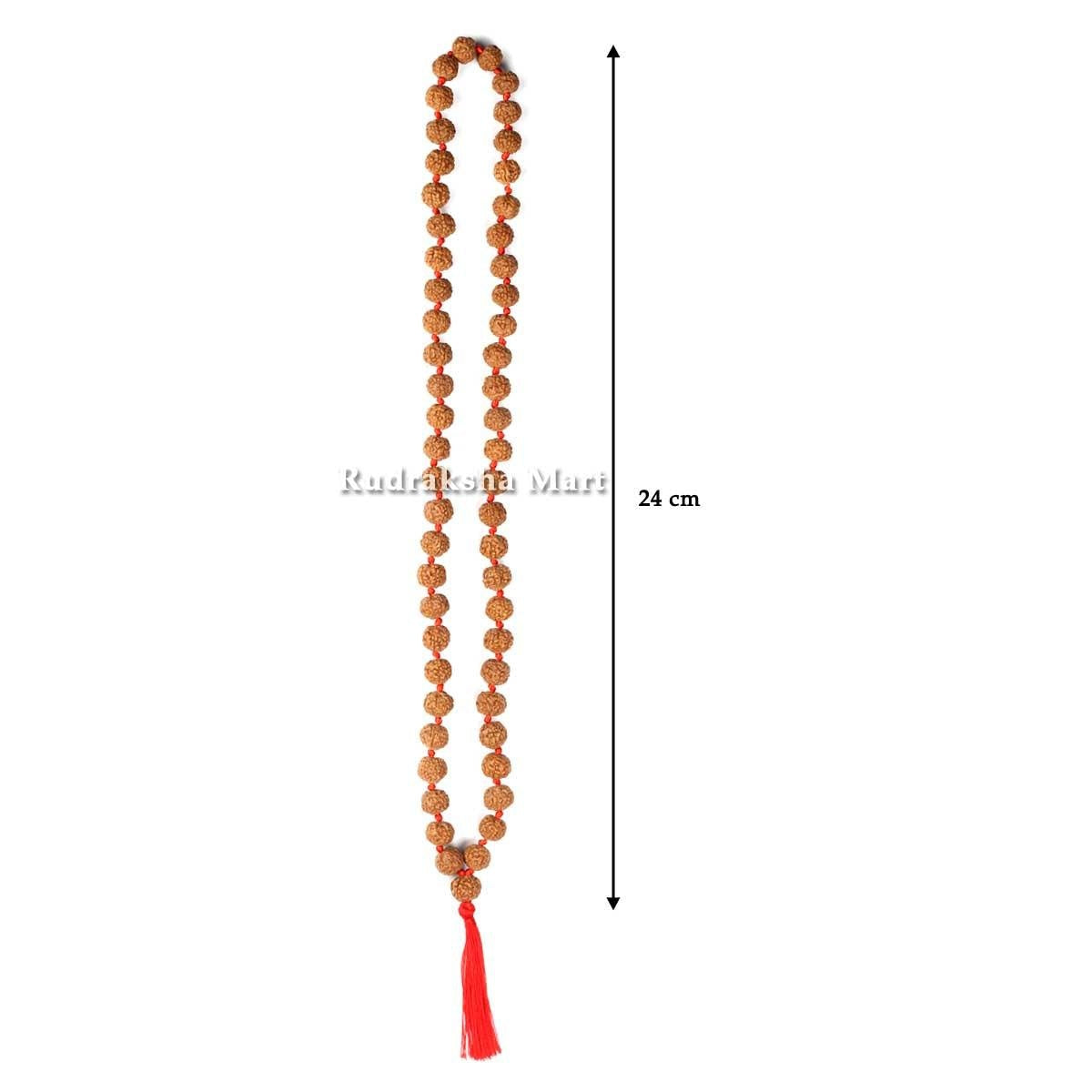 9 Mukhi Rudraksha Mala - 54 Bead inbetween Ganth in India, US, UK, Australia, Europe