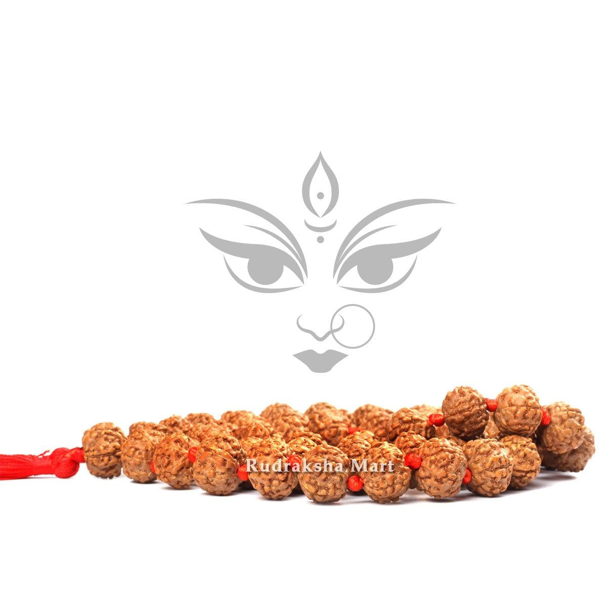 9 Mukhi Rudraksha Mala - 54 Bead inbetween Ganth in India, US, UK, Australia, Europe