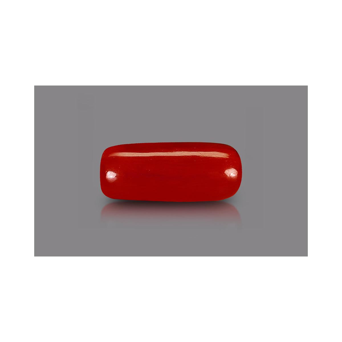 Natural Coral- 6 in India, US, UK, Australia, Europe
