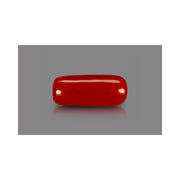 Natural Coral- 6 in India, US, UK, Australia, Europe