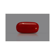 Natural Coral- 7 in India, US, UK, Australia, Europe