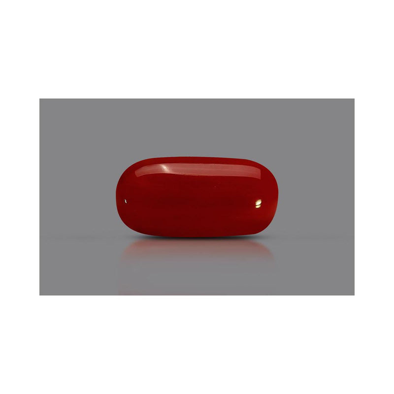 Natural Coral- 7 in India, US, UK, Australia, Europe